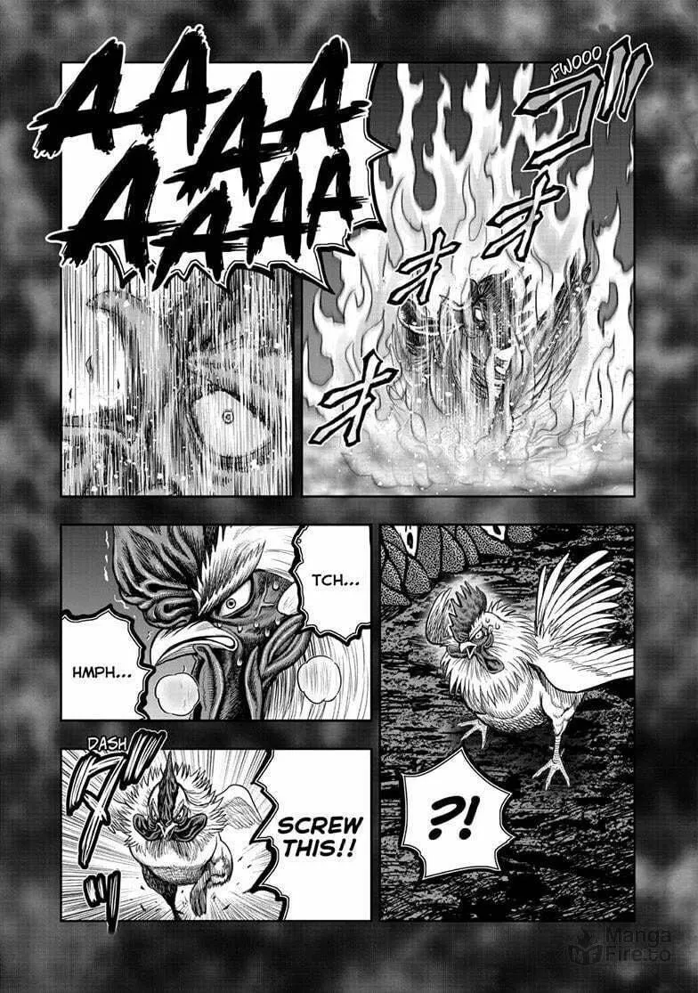 Rooster Fighter Chapter 49 page 36 - 