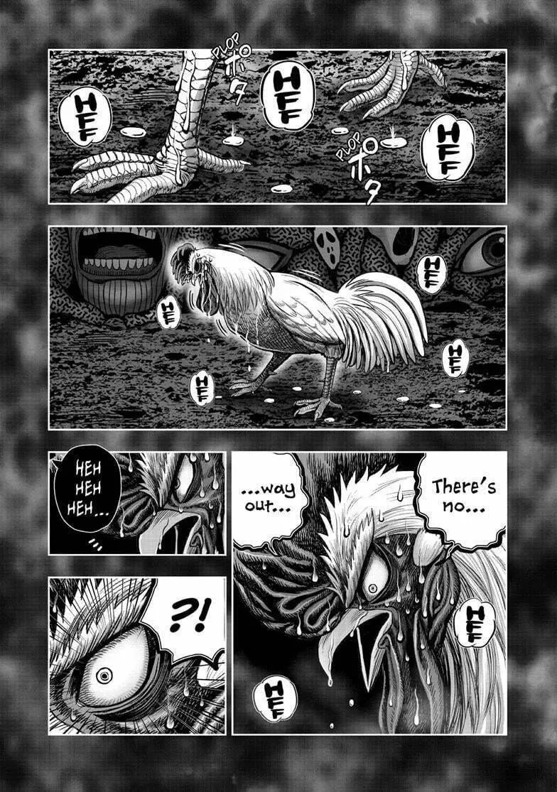 Rooster Fighter Chapter 49 page 38 - 