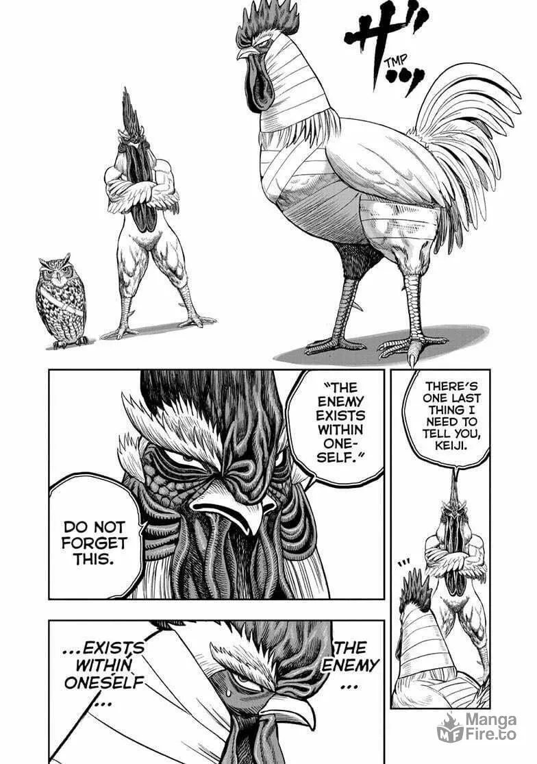 Rooster Fighter Chapter 49 page 5 - 