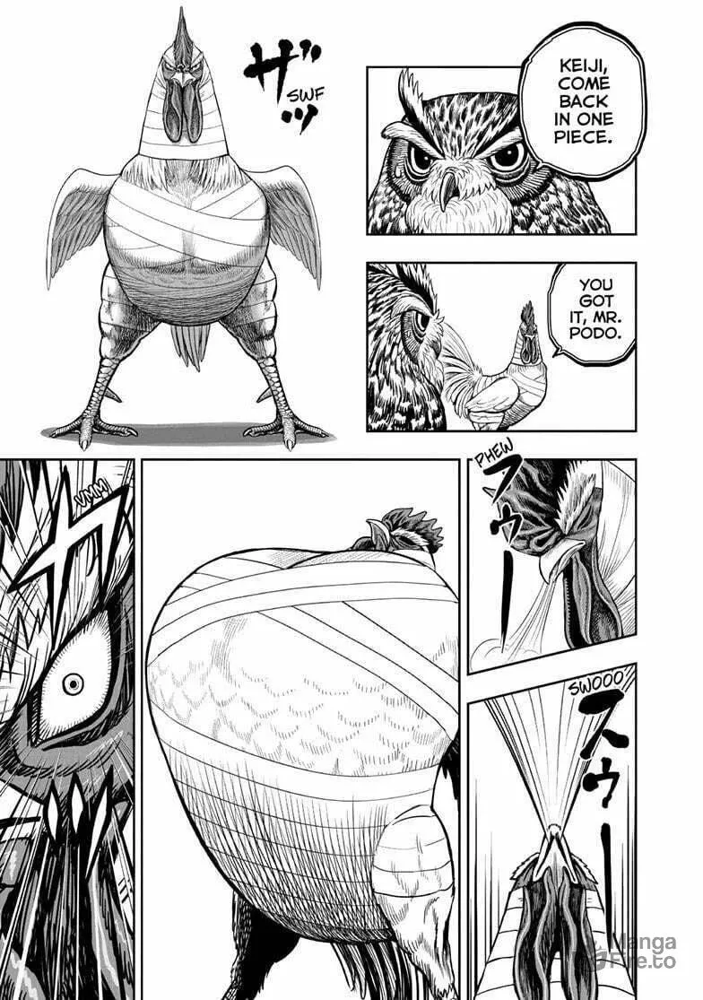 Rooster Fighter Chapter 49 page 6 - 
