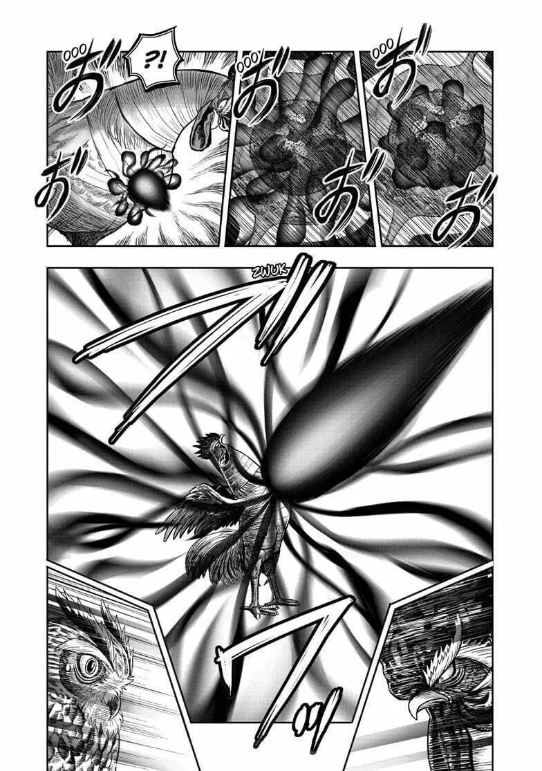Rooster Fighter Chapter 49 page 8 - 