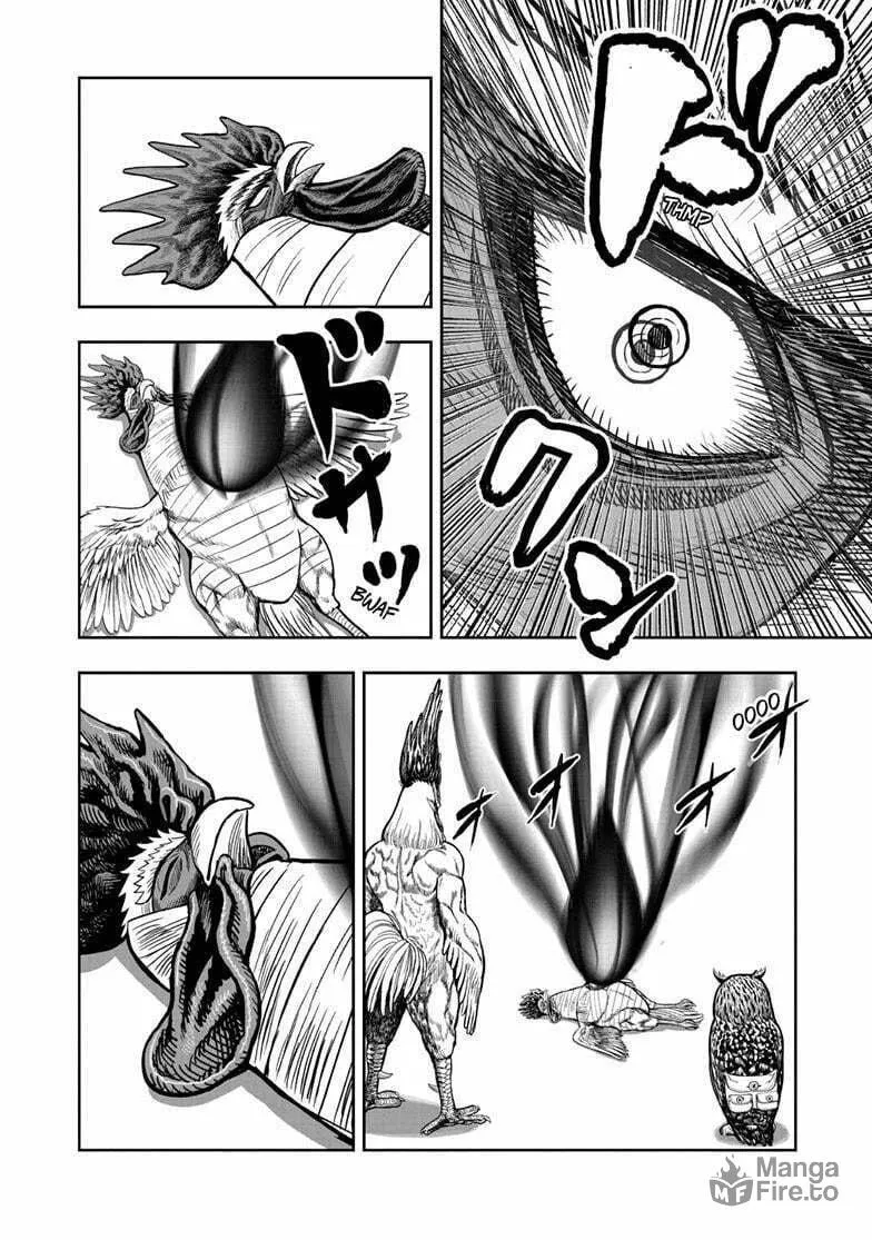 Rooster Fighter Chapter 49 page 9 - 
