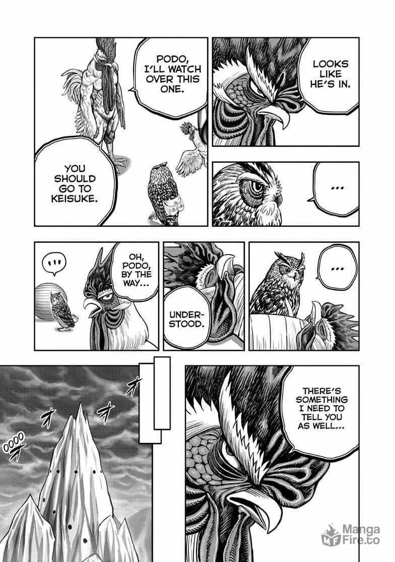 Rooster Fighter Chapter 49 page 10 - 