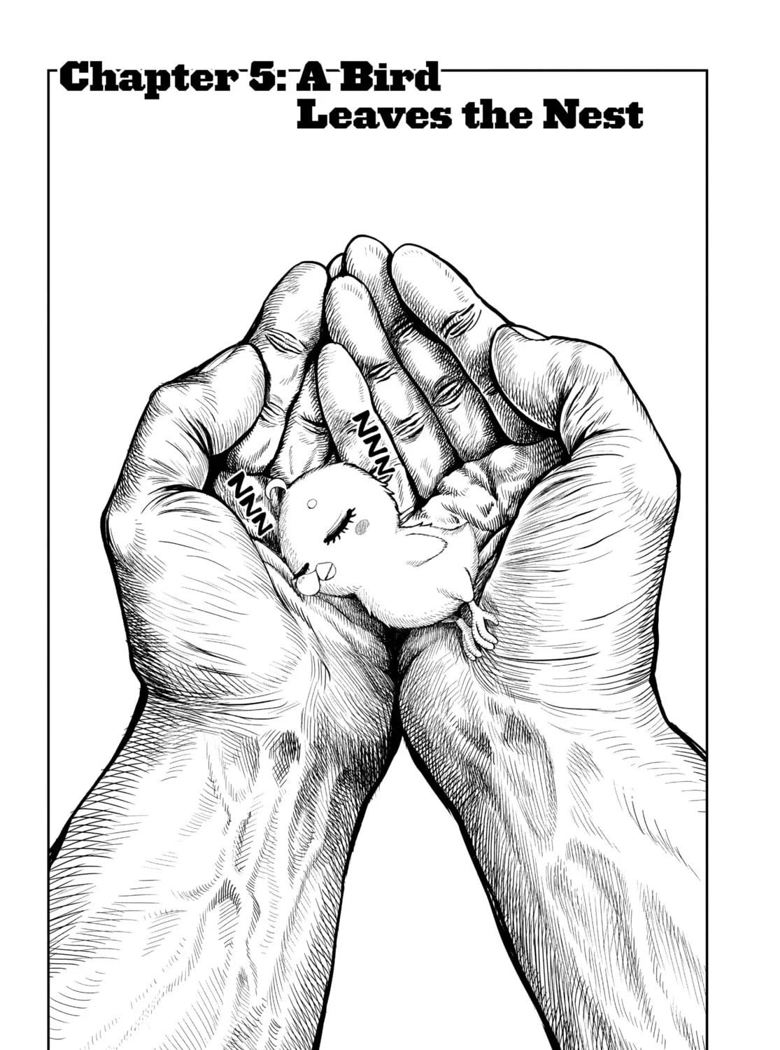 Rooster Fighter Chapter 5 page 1 - 