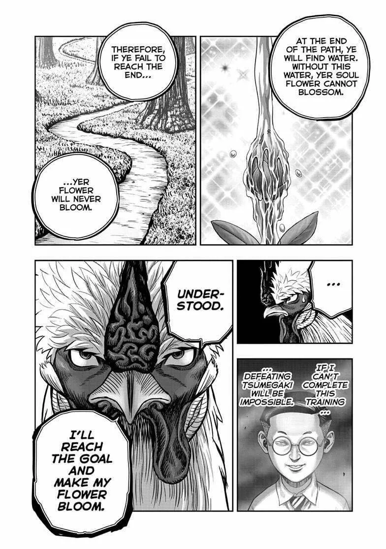 Rooster Fighter Chapter 50 page 13 - 