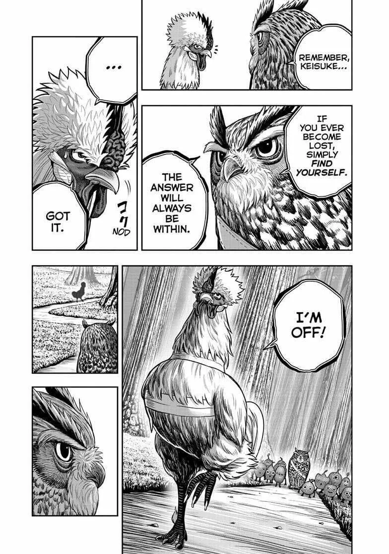 Rooster Fighter Chapter 50 page 14 - 