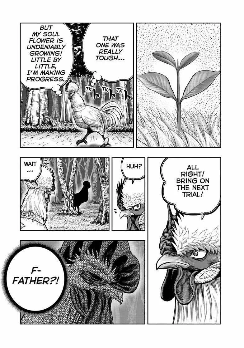 Rooster Fighter Chapter 50 page 22 - 