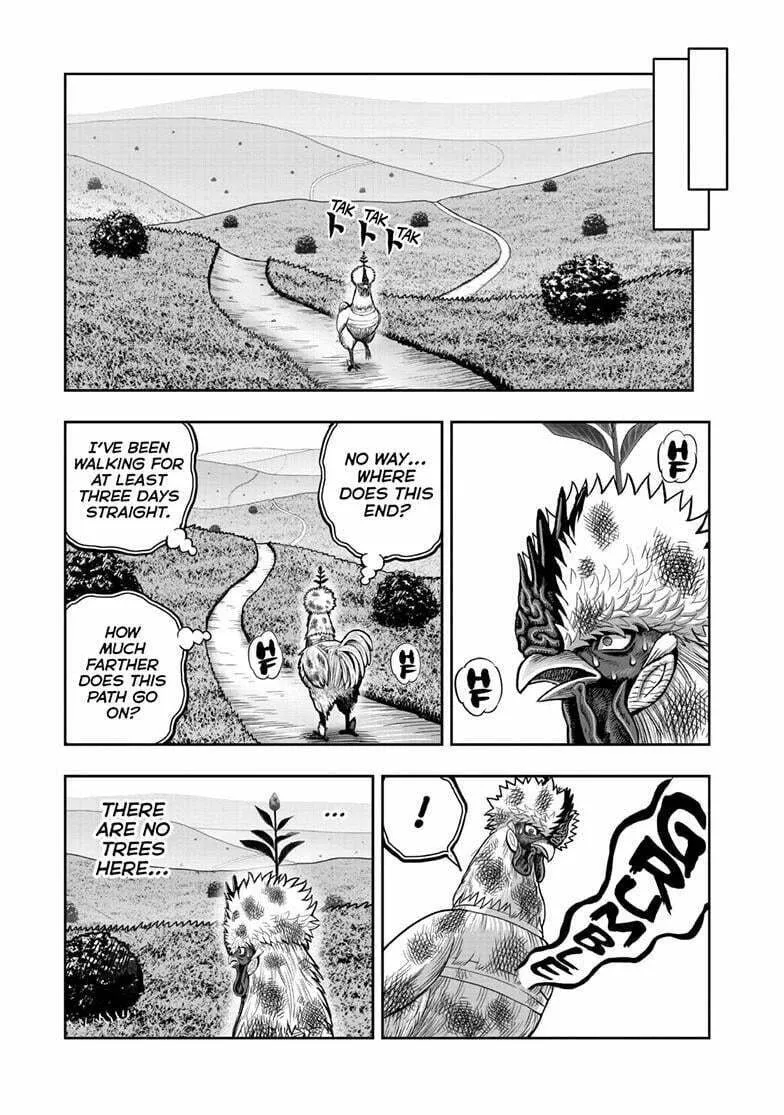 Rooster Fighter Chapter 50 page 28 - 