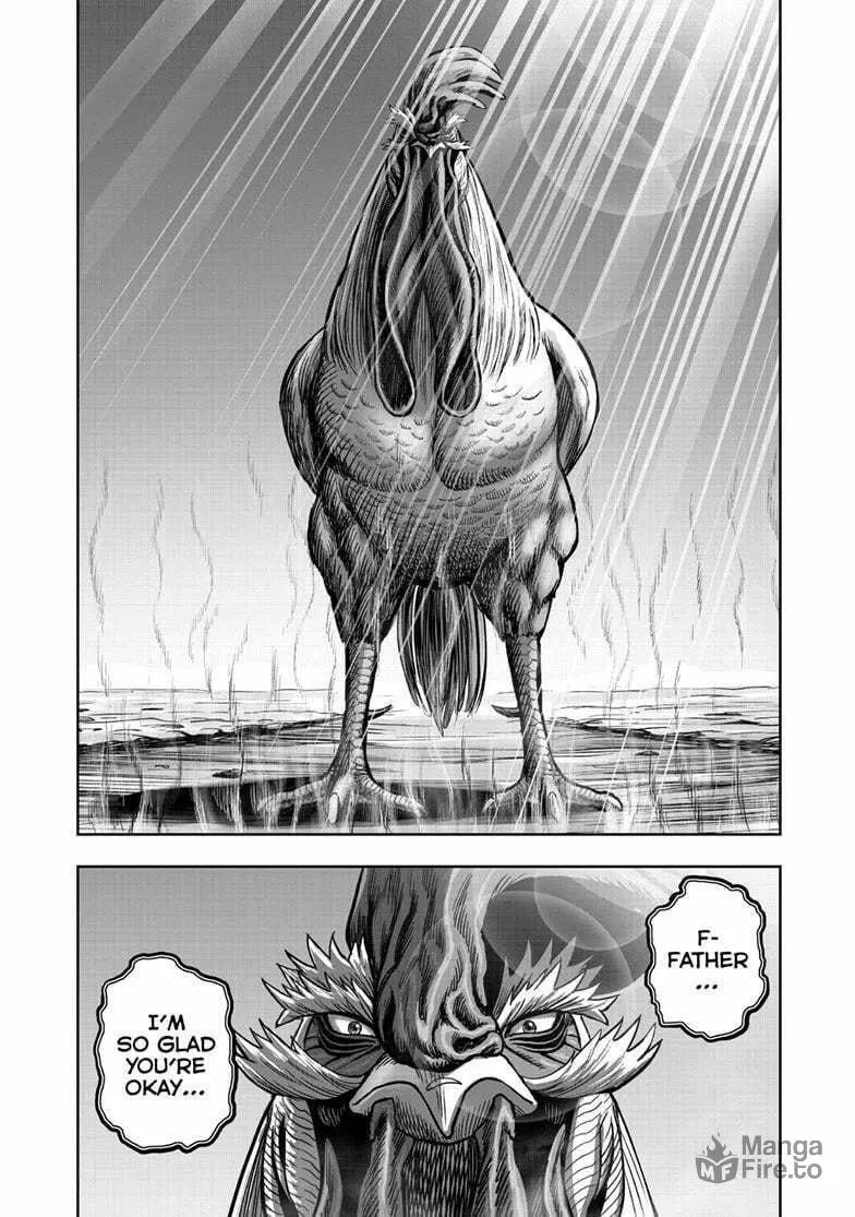 Rooster Fighter Chapter 50 page 33 - 