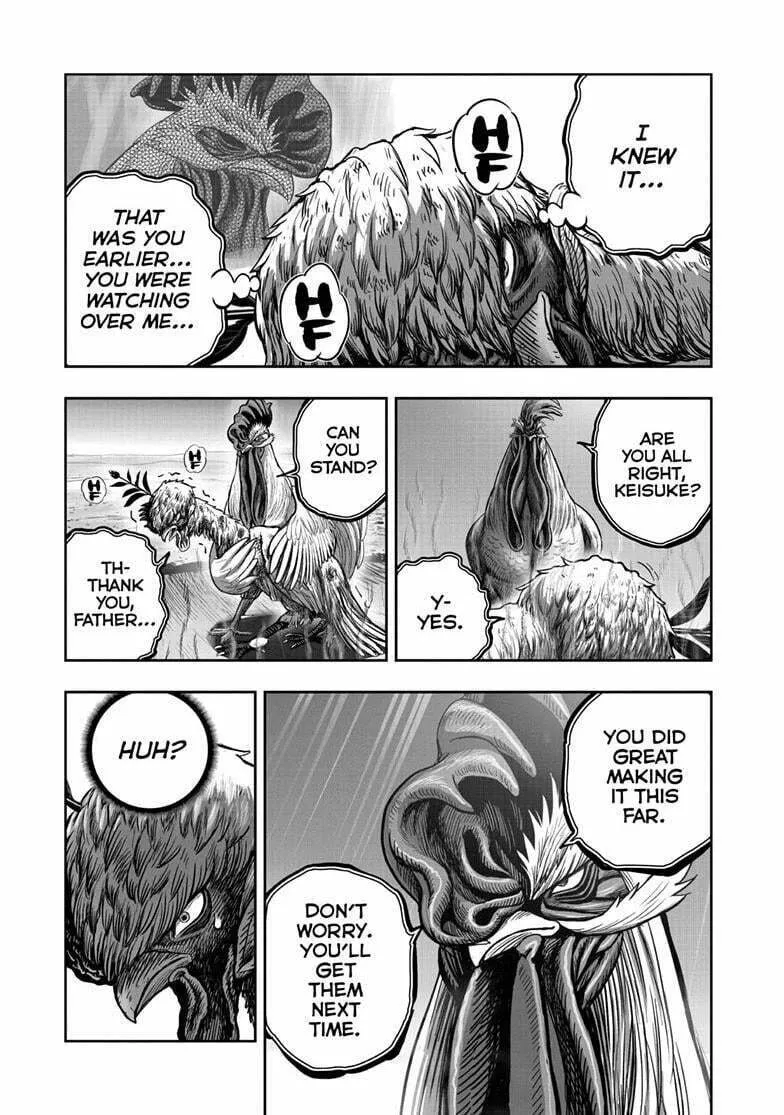 Rooster Fighter Chapter 50 page 34 - 