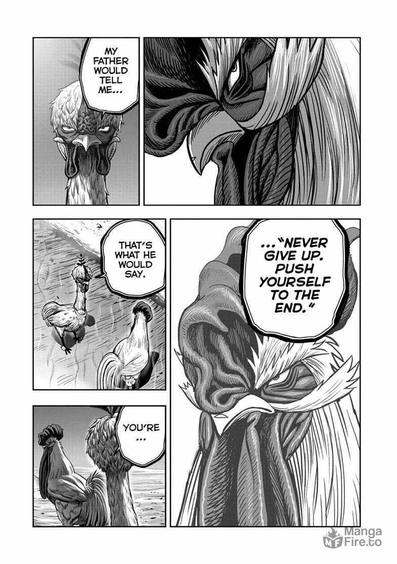 Rooster Fighter Chapter 50 page 36 - 