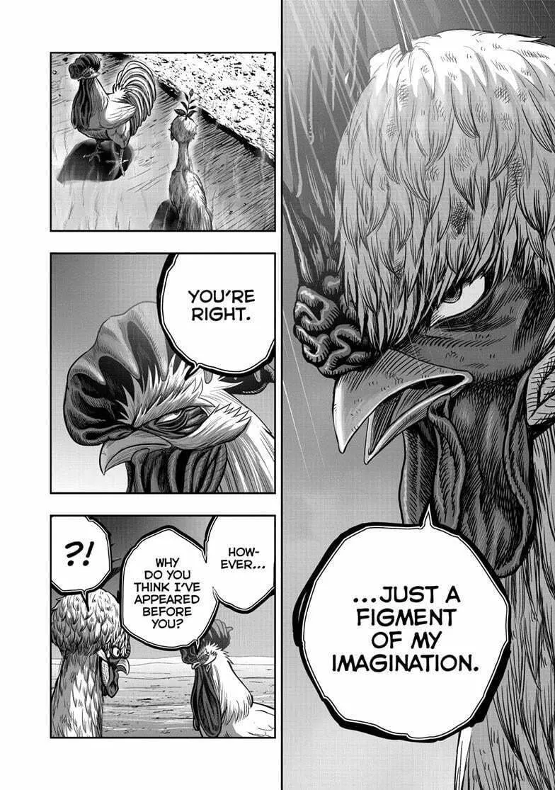 Rooster Fighter Chapter 50 page 37 - 
