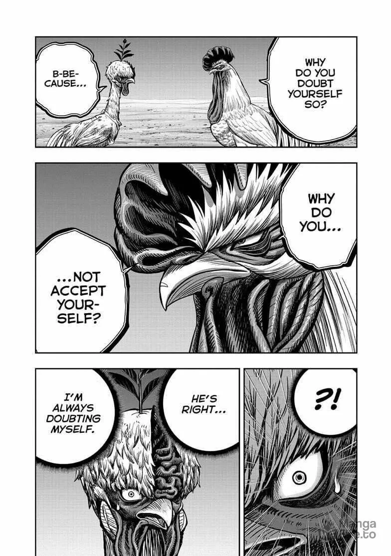 Rooster Fighter Chapter 50 page 39 - 