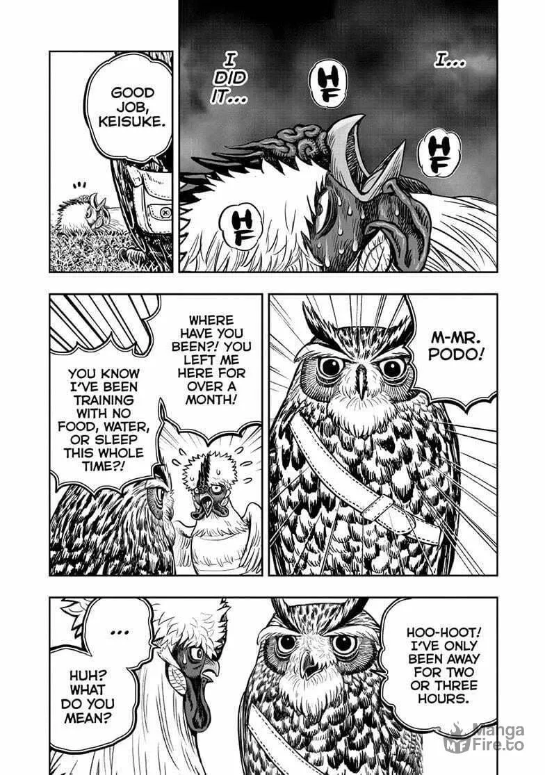 Rooster Fighter Chapter 50 page 5 - 