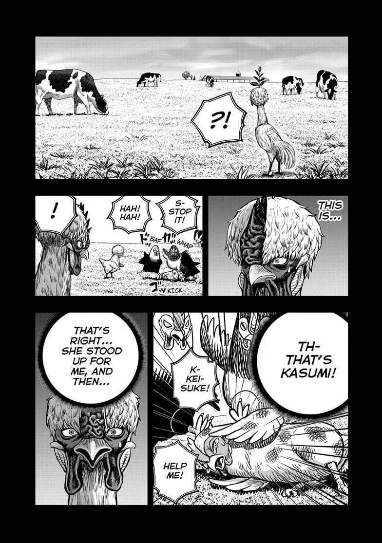 Rooster Fighter Chapter 50 page 41 - 