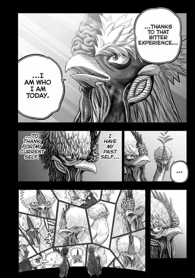 Rooster Fighter Chapter 50 page 47 - 