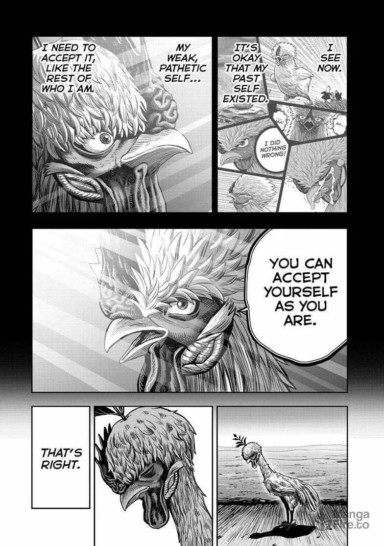Rooster Fighter Chapter 50 page 48 - 