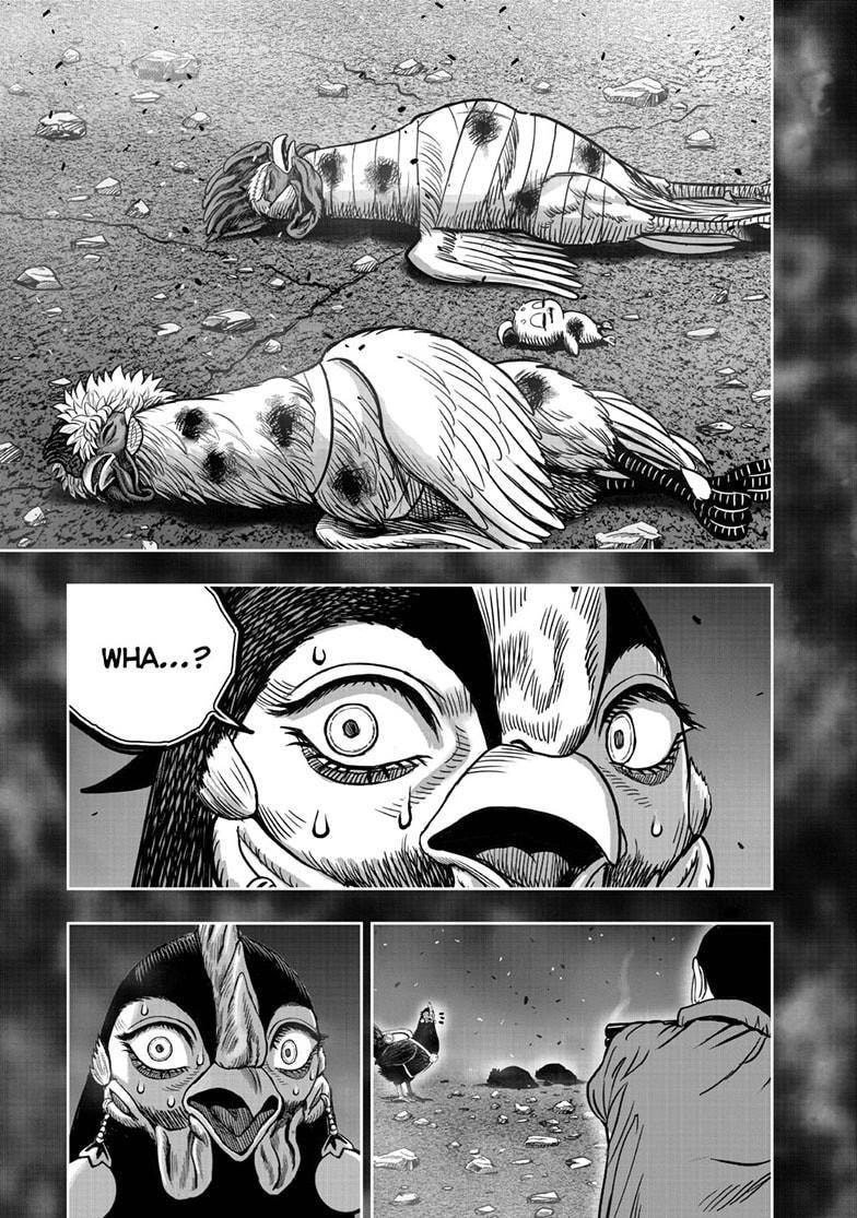 Rooster Fighter Chapter 51.1 page 12 - 