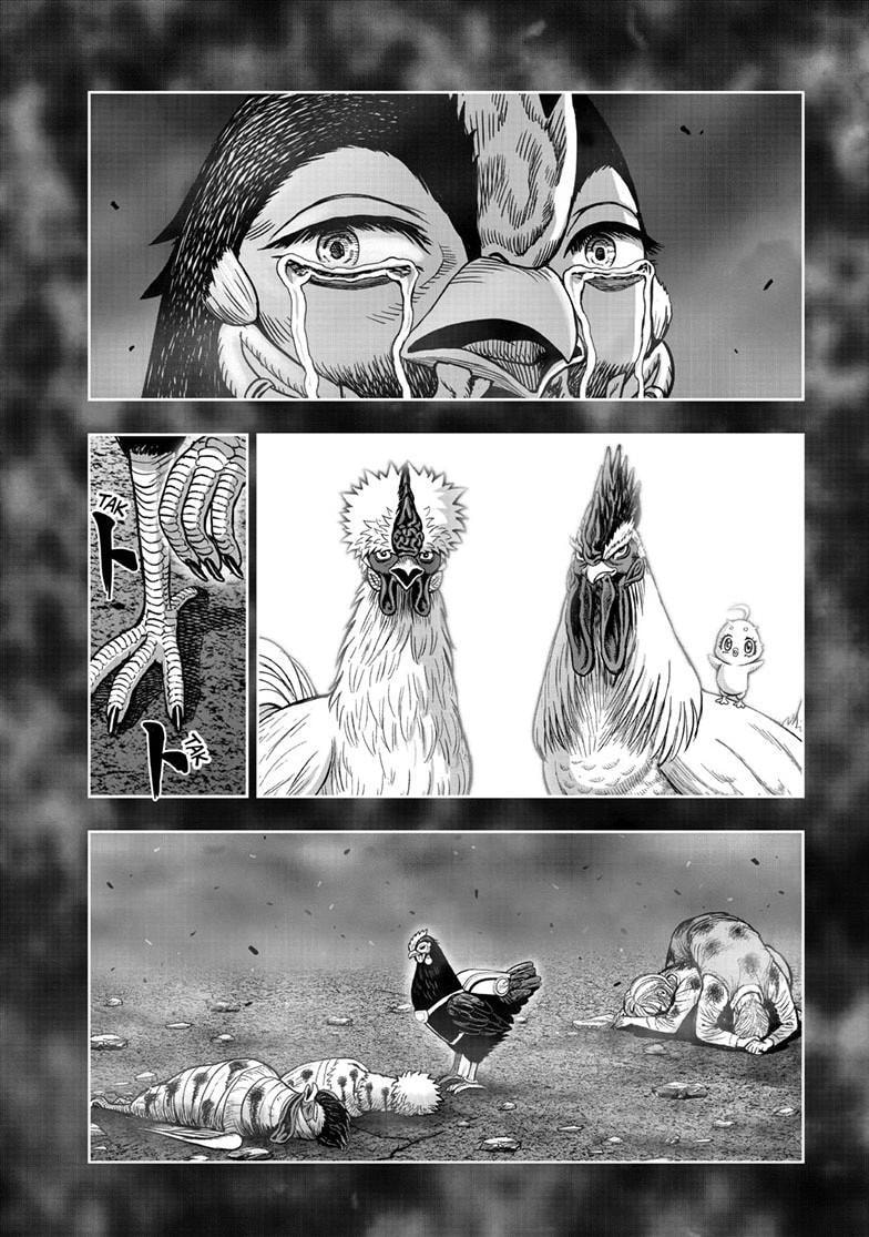 Rooster Fighter Chapter 51.1 page 23 - 