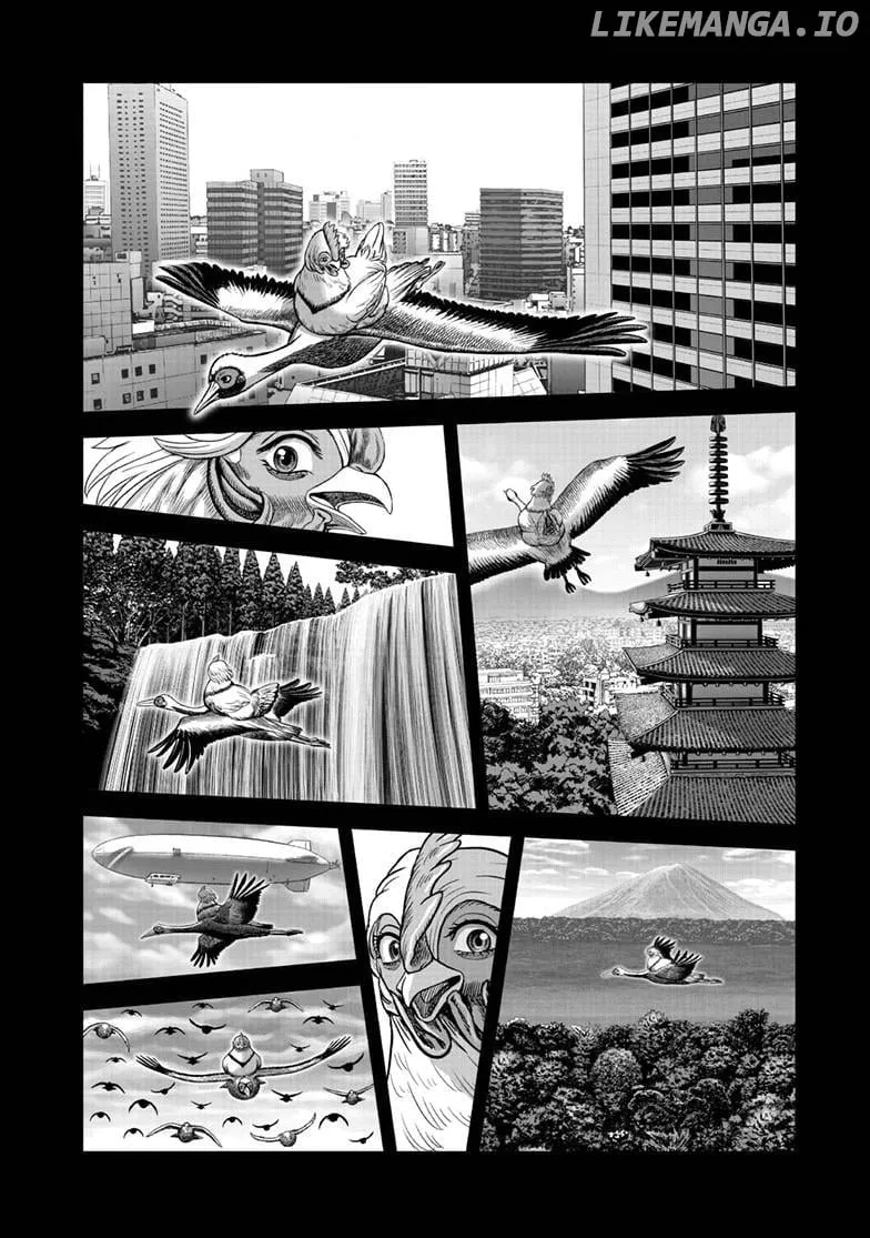 Rooster Fighter Chapter 51 page 39 - 