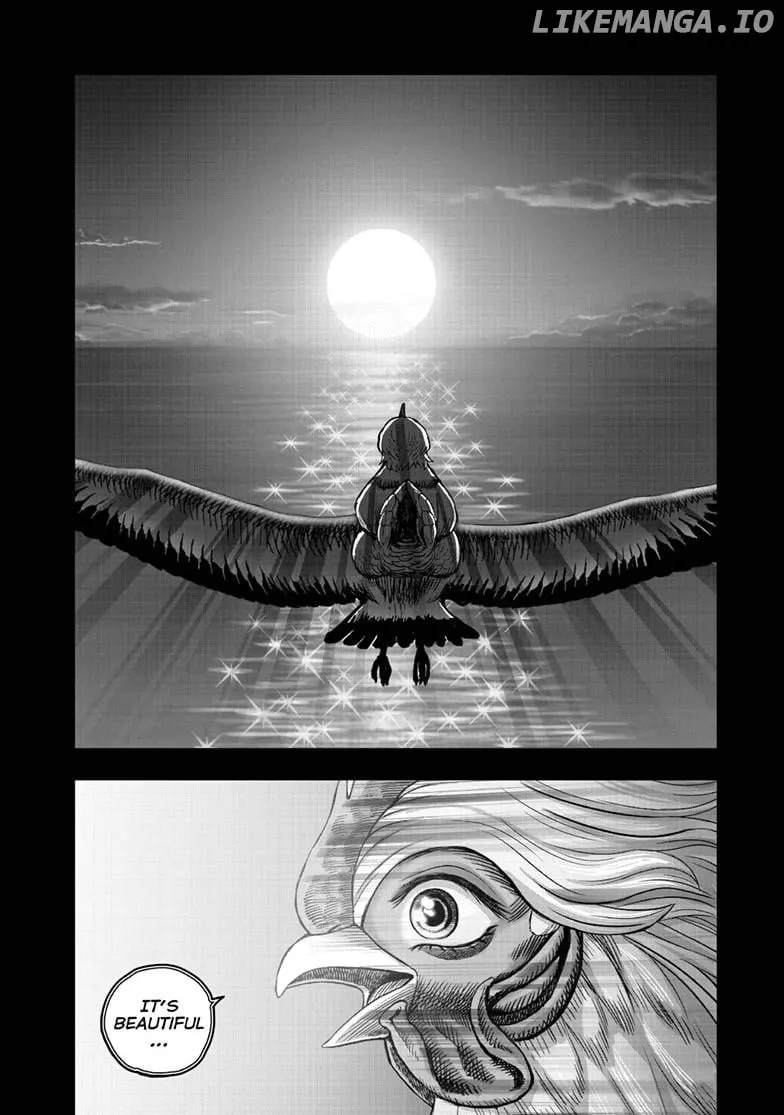 Rooster Fighter Chapter 51 page 41 - 