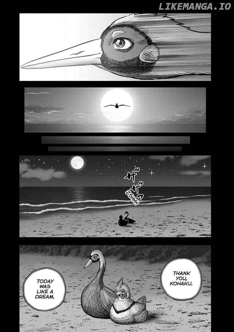 Rooster Fighter Chapter 51 page 42 - 