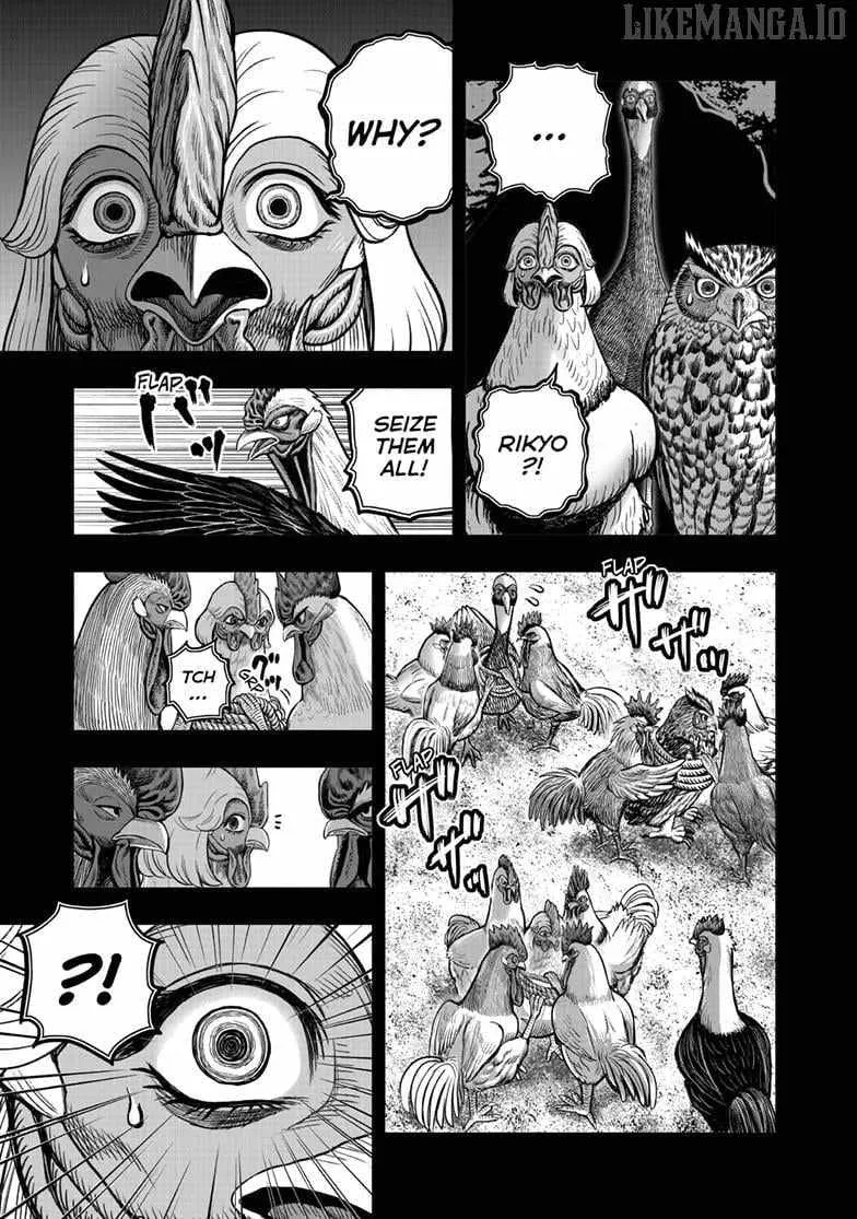Rooster Fighter Chapter 52 page 31 - 