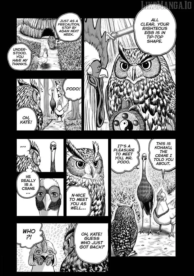Rooster Fighter Chapter 52 page 5 - 