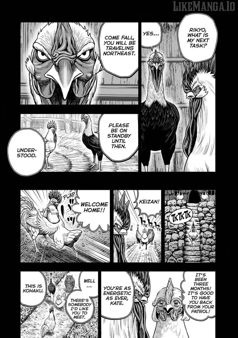 Rooster Fighter Chapter 52 page 7 - 