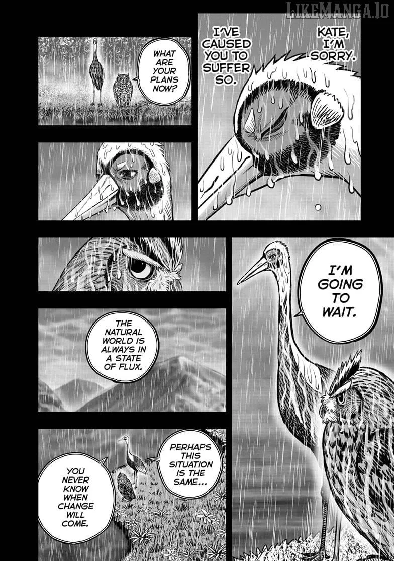 Rooster Fighter Chapter 53 page 11 - 