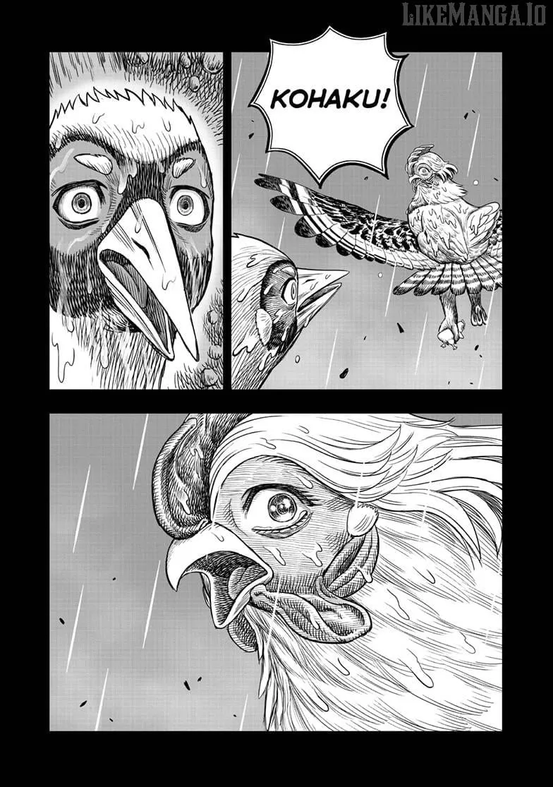Rooster Fighter Chapter 53 page 54 - 