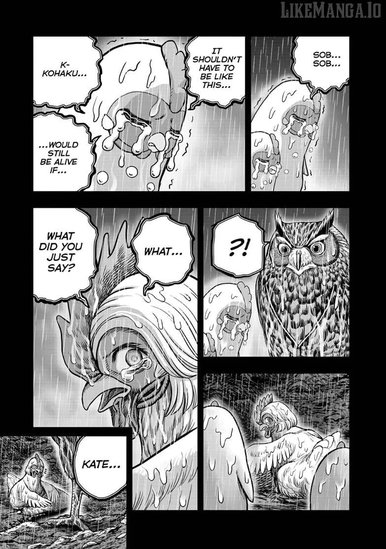 Rooster Fighter Chapter 54 page 14 - 