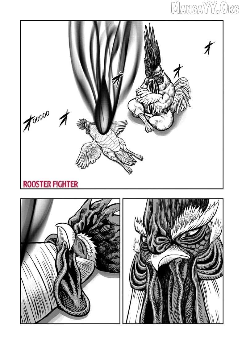 Rooster Fighter Chapter 56 page 1 - 