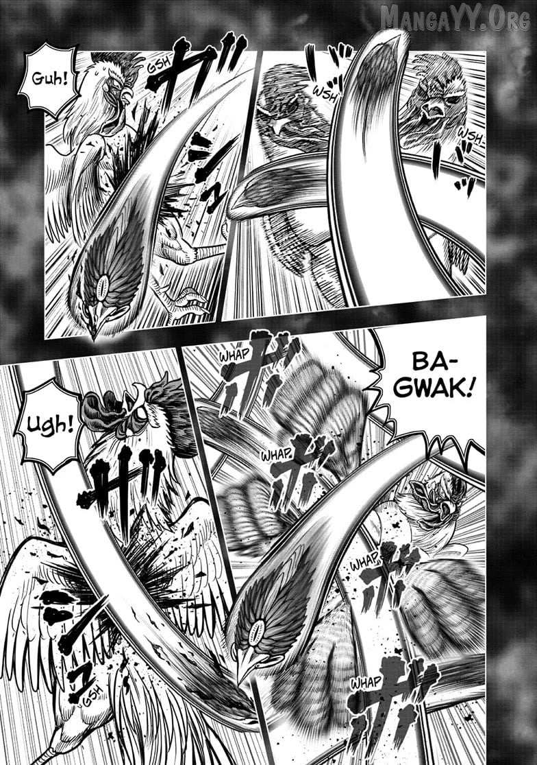 Rooster Fighter Chapter 56 page 11 - 
