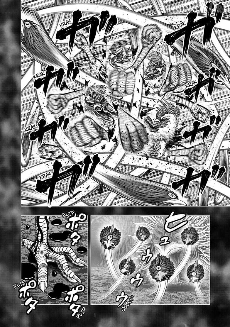 Rooster Fighter Chapter 56 page 12 - 