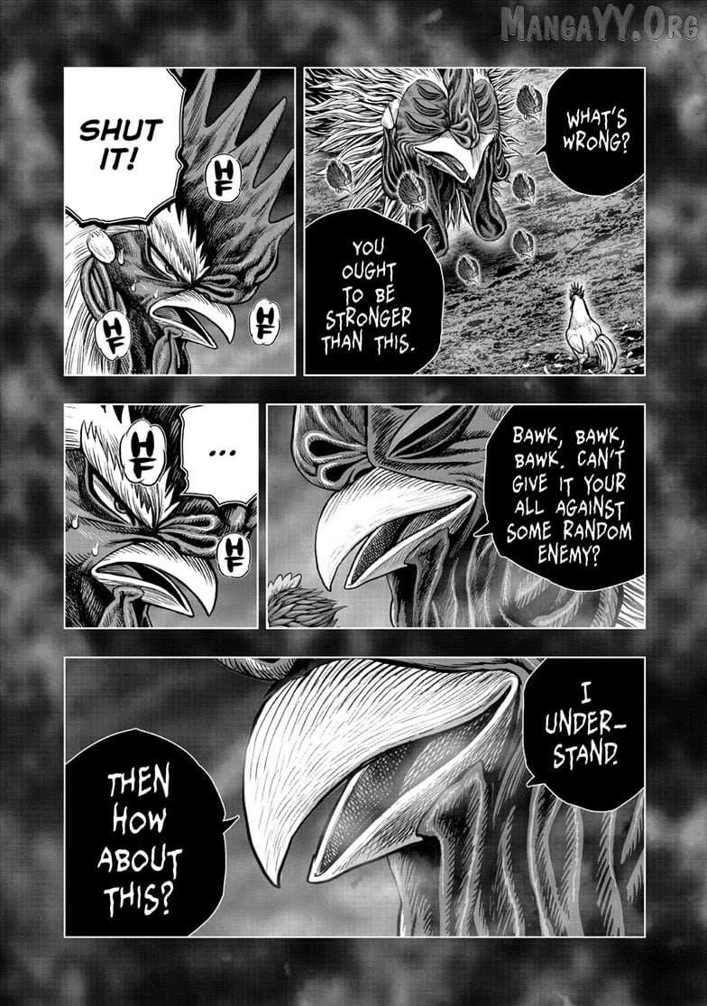 Rooster Fighter Chapter 56 page 14 - 
