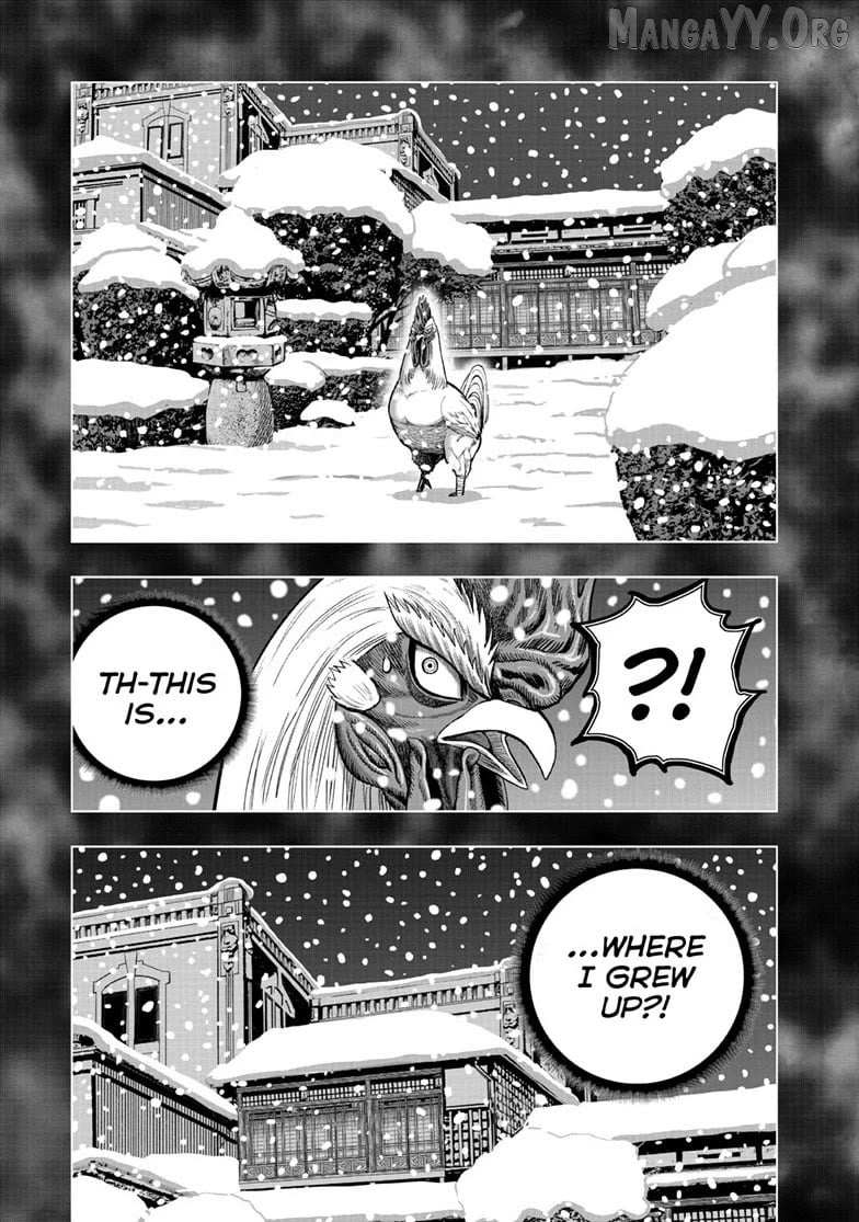 Rooster Fighter Chapter 56 page 15 - 