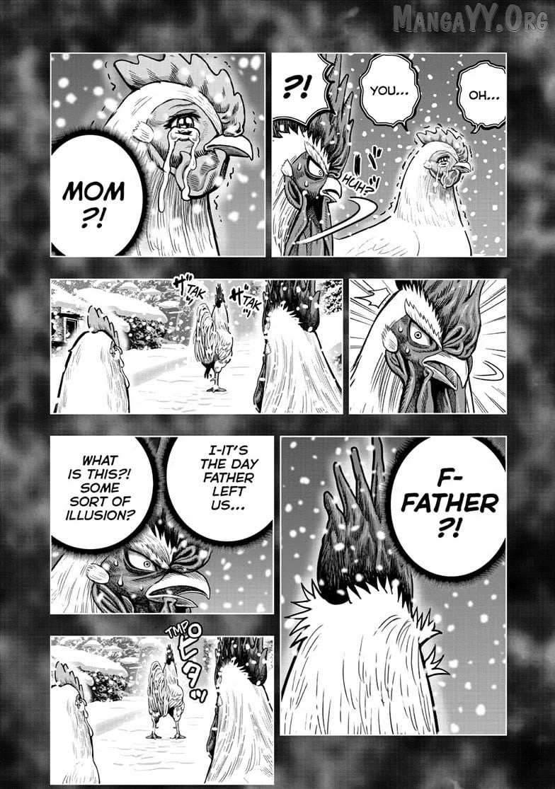 Rooster Fighter Chapter 56 page 16 - 