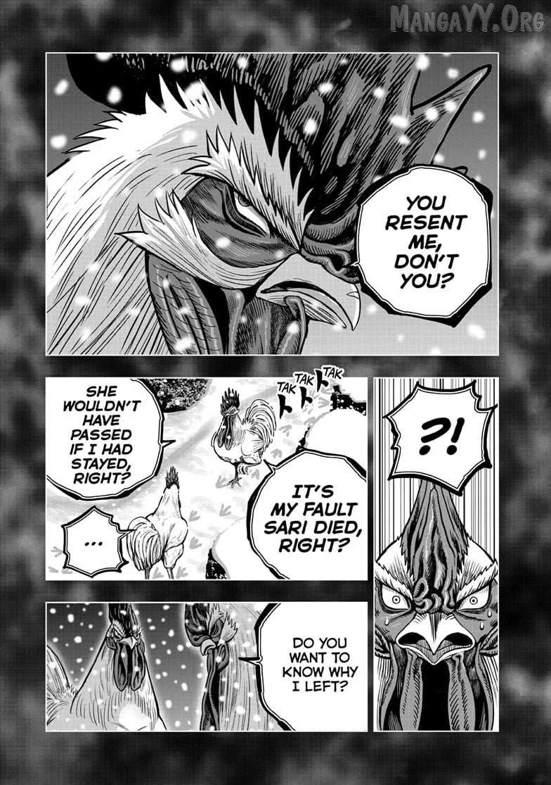 Rooster Fighter Chapter 56 page 17 - 