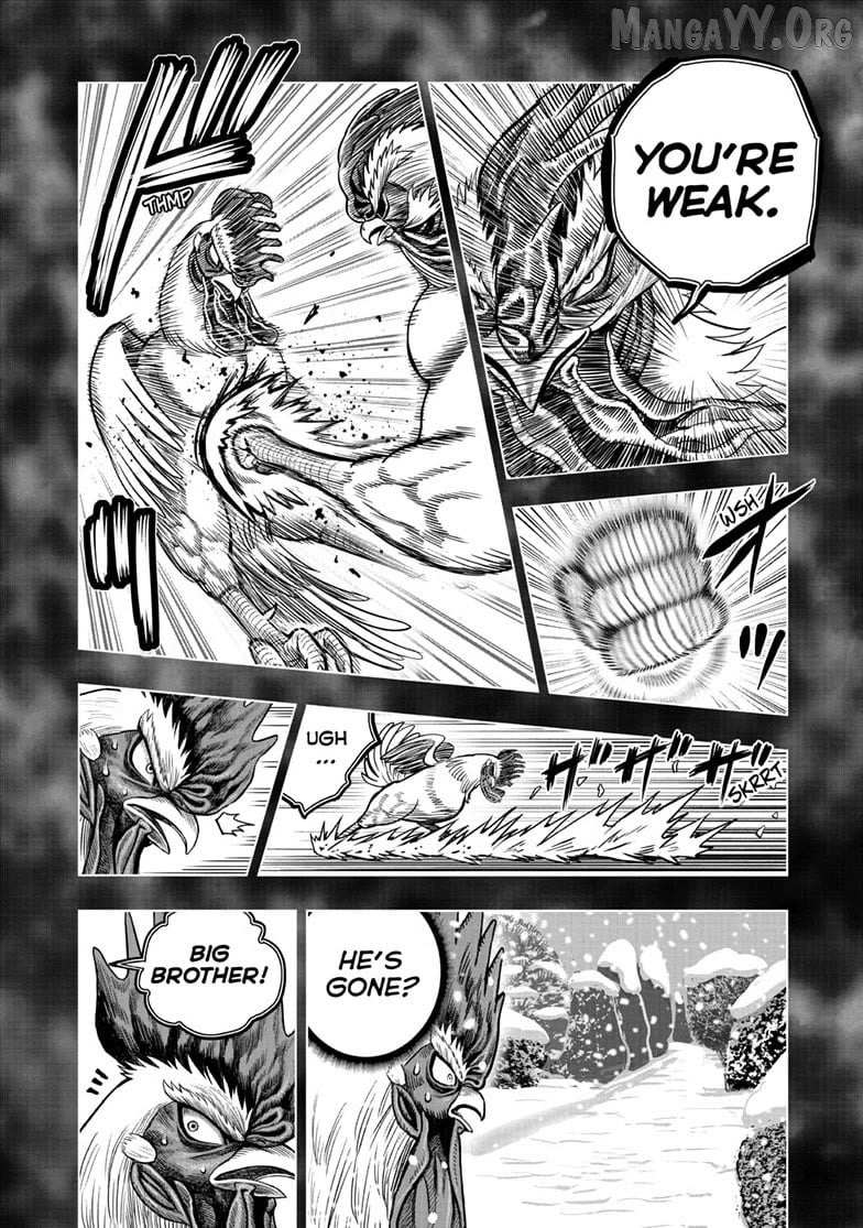 Rooster Fighter Chapter 56 page 20 - 