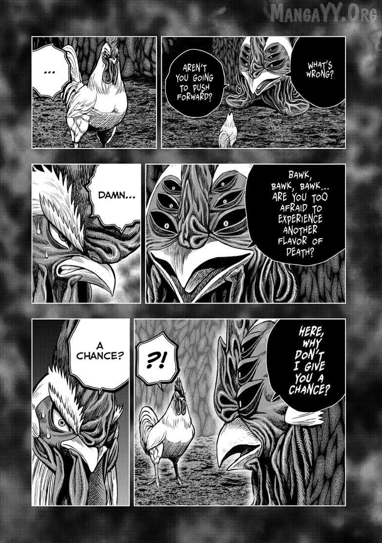 Rooster Fighter Chapter 56 page 3 - 