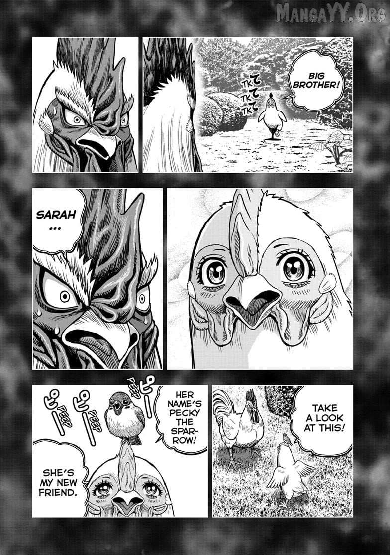 Rooster Fighter Chapter 56 page 21 - 