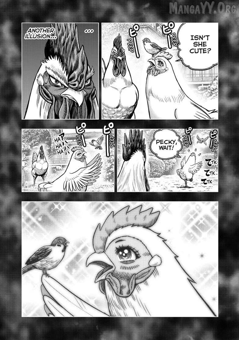 Rooster Fighter Chapter 56 page 22 - 