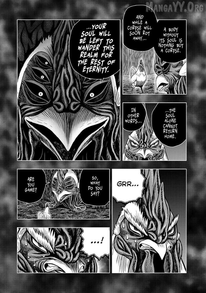 Rooster Fighter Chapter 56 page 5 - 
