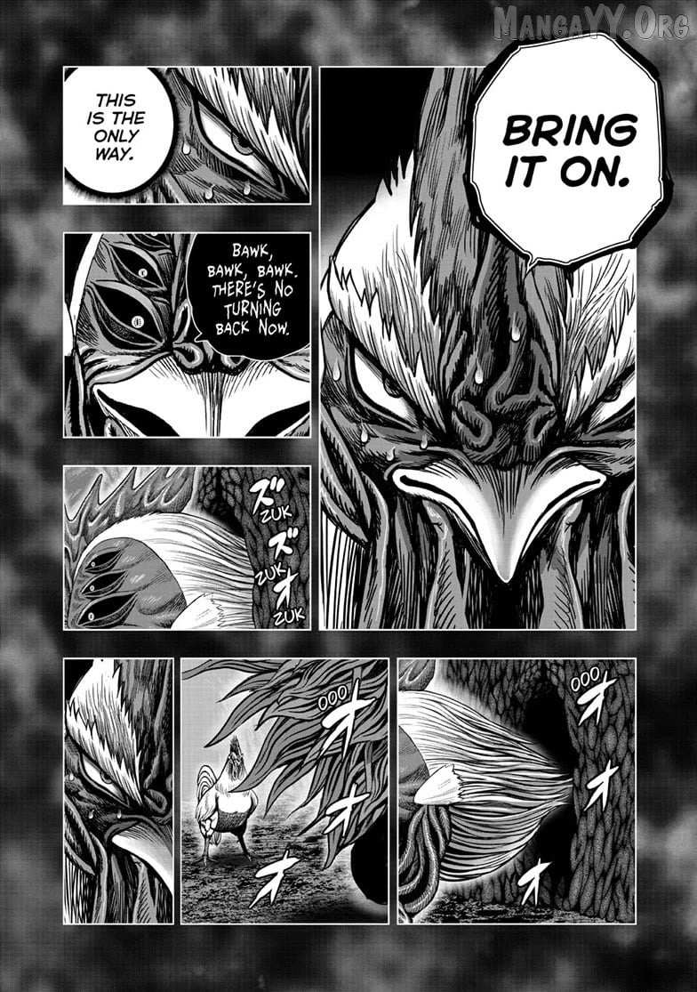 Rooster Fighter Chapter 56 page 6 - 