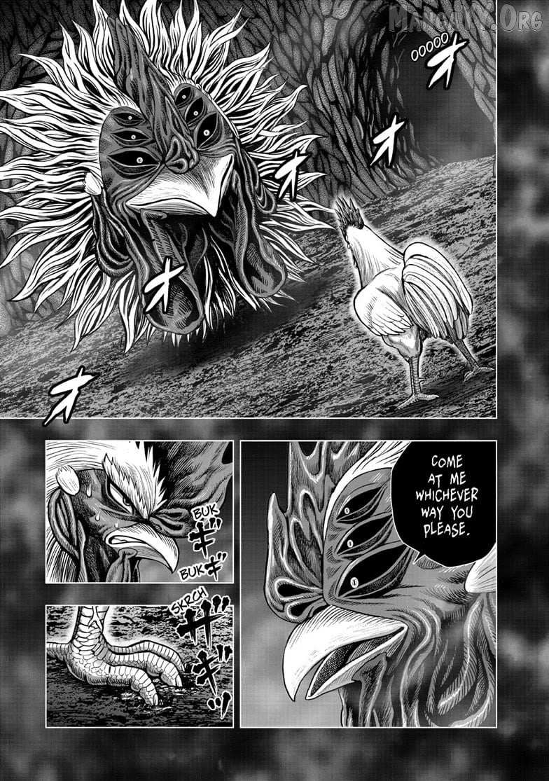 Rooster Fighter Chapter 56 page 7 - 