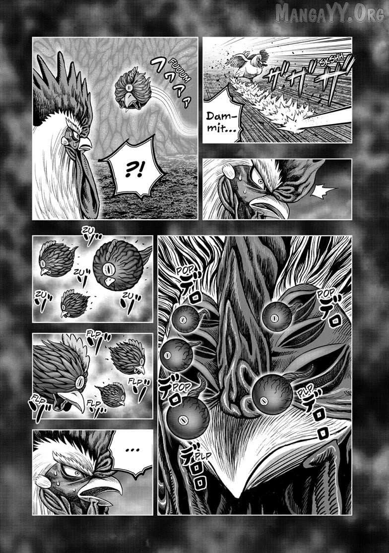 Rooster Fighter Chapter 56 page 9 - 
