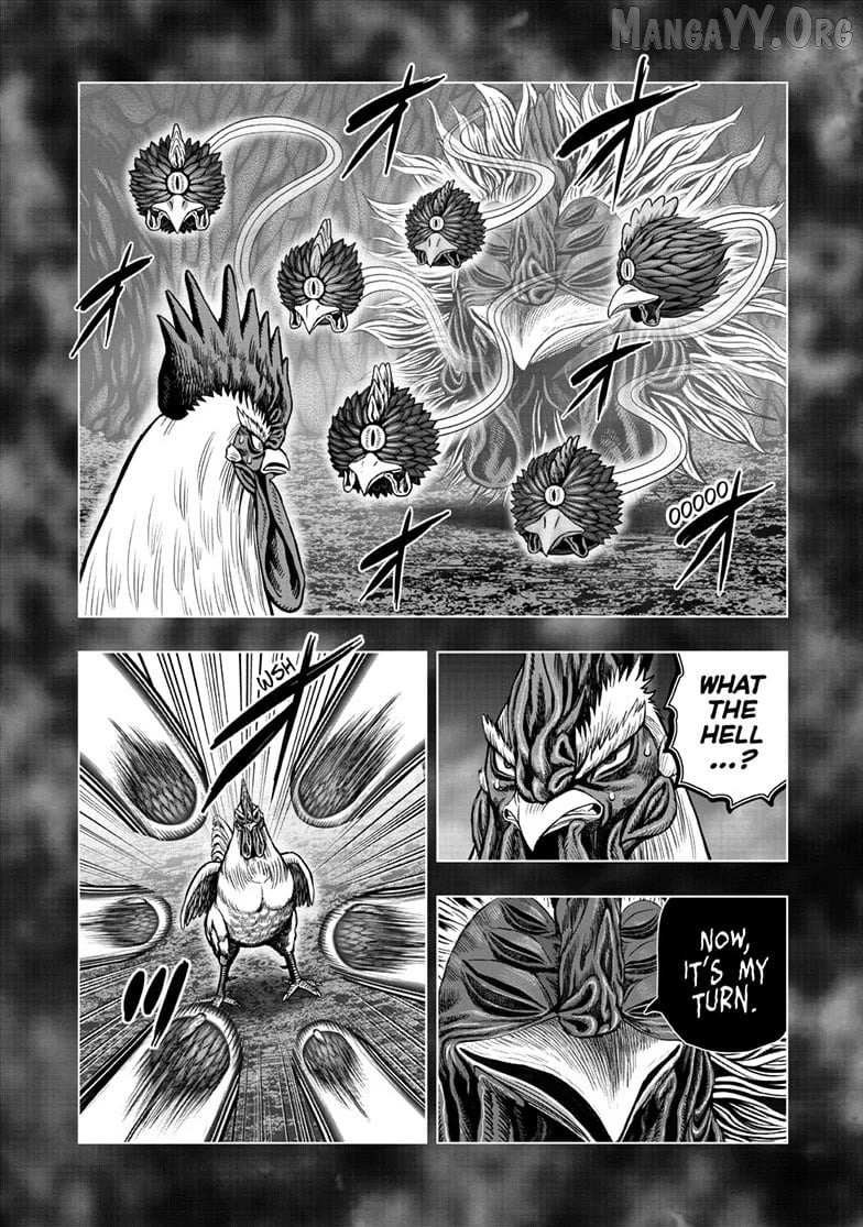 Rooster Fighter Chapter 56 page 10 - 