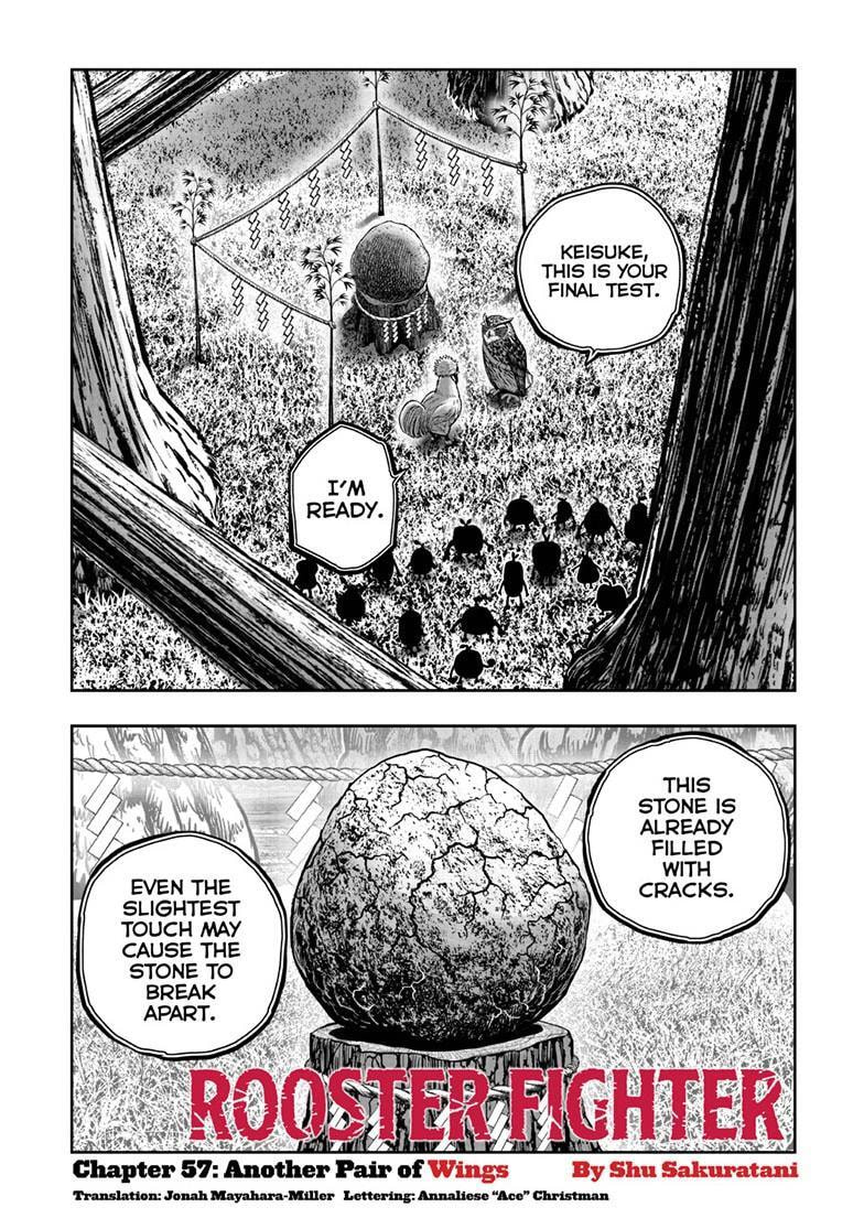 Rooster Fighter Chapter 57 page 2 - 