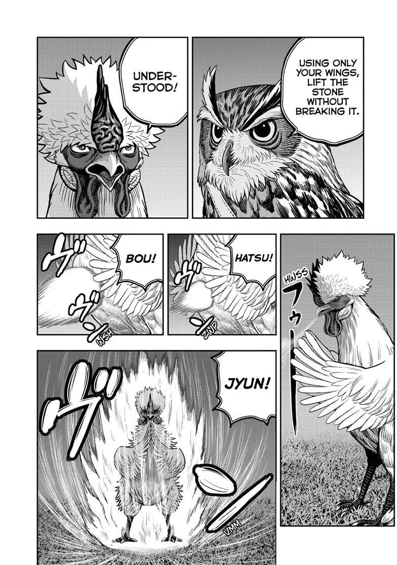 Rooster Fighter Chapter 57 page 3 - 